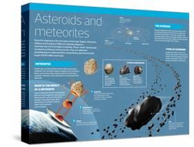 Infographic on Asteroids and Meteorites: What They Are, Types, How a Meteorite Impacts-null-Stretched Canvas