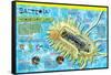 Infographic on Bacteria, the Most Ancient Life Forms on Earth-null-Framed Stretched Canvas