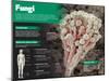 Infographic on Fungi, Simple Living Things Similar to Plants-null-Mounted Poster