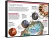 Infographic on Supernovae, Extraordinary Explosions of Giant Stars-null-Framed Stretched Canvas