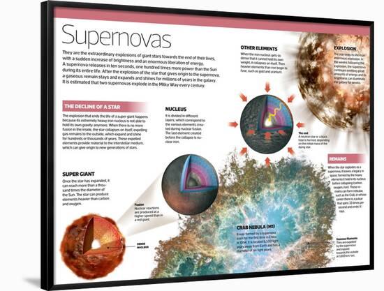 Infographic on Supernovae, Extraordinary Explosions of Giant Stars-null-Framed Poster