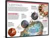 Infographic on Supernovae, Extraordinary Explosions of Giant Stars-null-Framed Poster