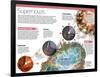 Infographic on Supernovae, Extraordinary Explosions of Giant Stars-null-Framed Poster