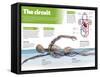 Infographic on the Circulatory System, Detail of the Blood Flow-null-Framed Stretched Canvas