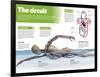 Infographic on the Circulatory System, Detail of the Blood Flow-null-Framed Poster