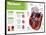 Infographic on the Heart, Engine Body of the Circulatory System-null-Framed Poster