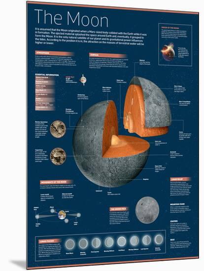 Infographic on the Moon: its Atmosphere, Composition, Lunar Movements, Lunar Phases and More-null-Mounted Poster