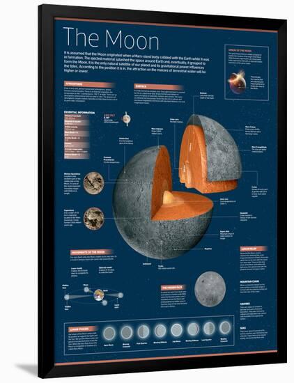 Infographic on the Moon: its Atmosphere, Composition, Lunar Movements, Lunar Phases and More-null-Framed Poster