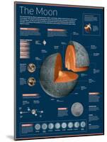 Infographic on the Moon: its Atmosphere, Composition, Lunar Movements, Lunar Phases and More-null-Mounted Poster