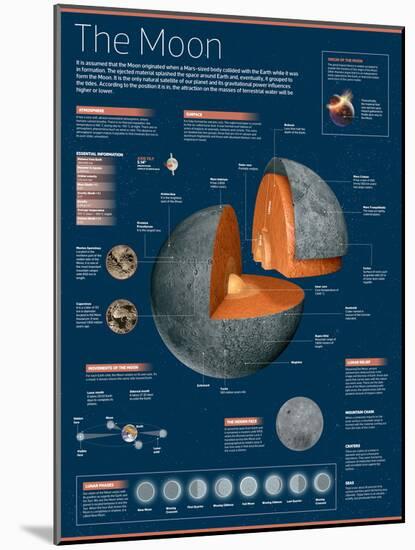 Infographic on the Moon: its Atmosphere, Composition, Lunar Movements, Lunar Phases and More-null-Mounted Poster