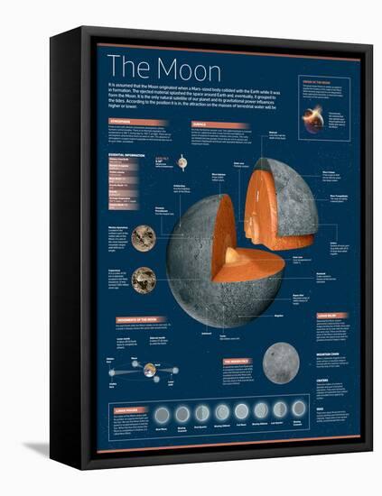 Infographic on the Moon: its Atmosphere, Composition, Lunar Movements, Lunar Phases and More-null-Framed Stretched Canvas