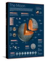 Infographic on the Moon: its Atmosphere, Composition, Lunar Movements, Lunar Phases and More-null-Stretched Canvas