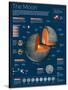 Infographic on the Moon: its Atmosphere, Composition, Lunar Movements, Lunar Phases and More-null-Stretched Canvas