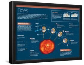 Infographic on Tides, Produced by the Attraction of the Sun and Moon-null-Framed Poster