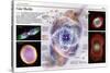 Infographic Showing Formation Called Planetary Nebulae-null-Stretched Canvas
