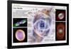 Infographic Showing Formation Called Planetary Nebulae-null-Framed Poster