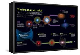 Infographic That Describes the Phases That the Life of a Star-null-Framed Stretched Canvas