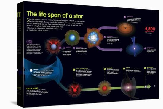 Infographic That Describes the Phases That the Life of a Star-null-Stretched Canvas