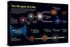 Infographic That Describes the Phases That the Life of a Star-null-Stretched Canvas