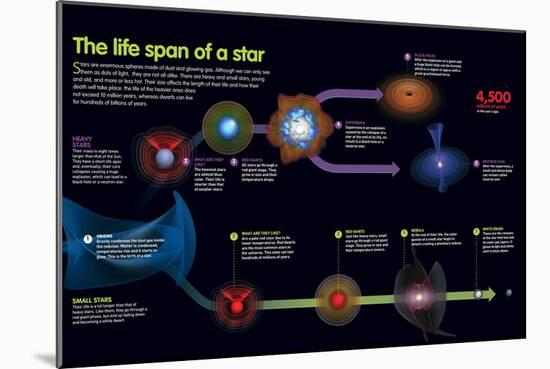 Infographic That Describes the Phases That the Life of a Star-null-Mounted Poster