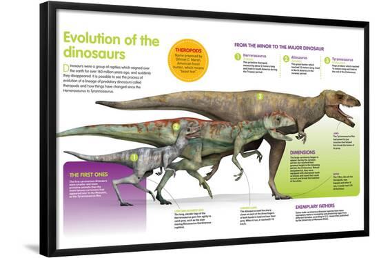 Poster, , large