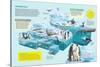 Infographic That Shows the Fauna That Lives in the Coldest Place in the Planet, Antarctica-null-Stretched Canvas