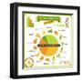 Information Poster Genetically Modified Foods-incomible-Framed Art Print