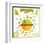 Information Poster Genetically Modified Foods-incomible-Framed Art Print