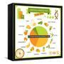 Information Poster Genetically Modified Foods-incomible-Framed Stretched Canvas