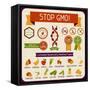 Information Poster Stop GMO!-incomible-Framed Stretched Canvas
