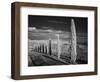 Infra Red Black and White View of Drive Lined with Cypress Trees, San Quirico D'Orcia, Tuscany, Ita-Adam Jones-Framed Photographic Print