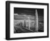 Infra Red Black and White View of Drive Lined with Cypress Trees, San Quirico D'Orcia, Tuscany, Ita-Adam Jones-Framed Photographic Print