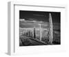 Infra Red Black and White View of Drive Lined with Cypress Trees, San Quirico D'Orcia, Tuscany, Ita-Adam Jones-Framed Photographic Print