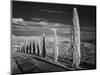 Infra Red Black and White View of Drive Lined with Cypress Trees, San Quirico D'Orcia, Tuscany, Ita-Adam Jones-Mounted Photographic Print