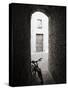 Infra Red Image of a Bicycle in Shady Alleyway, San Quirico D'Orcia, Tuscany, Italy, Europe-Lee Frost-Stretched Canvas