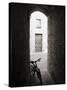 Infra Red Image of a Bicycle in Shady Alleyway, San Quirico D'Orcia, Tuscany, Italy, Europe-Lee Frost-Stretched Canvas