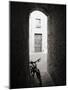 Infra Red Image of a Bicycle in Shady Alleyway, San Quirico D'Orcia, Tuscany, Italy, Europe-Lee Frost-Mounted Photographic Print