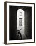 Infra Red Image of a Bicycle in Shady Alleyway, San Quirico D'Orcia, Tuscany, Italy, Europe-Lee Frost-Framed Photographic Print