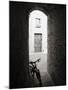 Infra Red Image of a Bicycle in Shady Alleyway, San Quirico D'Orcia, Tuscany, Italy, Europe-Lee Frost-Mounted Photographic Print