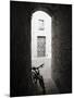 Infra Red Image of a Bicycle in Shady Alleyway, San Quirico D'Orcia, Tuscany, Italy, Europe-Lee Frost-Mounted Photographic Print