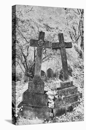 Infrared Image of the Graves in Highgate Cemetery, London, England, UK-Nadia Isakova-Stretched Canvas