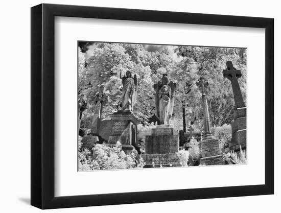 Infrared Image of the Graves in Highgate Cemetery, London, England, UK-Nadia Isakova-Framed Photographic Print