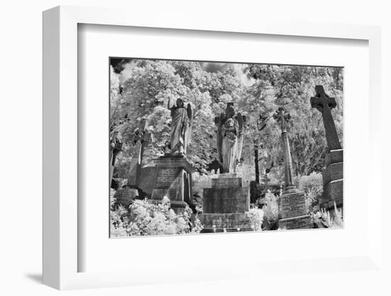 Infrared Image of the Graves in Highgate Cemetery, London, England, UK-Nadia Isakova-Framed Photographic Print