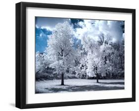 Infrared Landscape with White Trees and Water-Nelson Charette-Framed Photographic Print