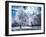 Infrared Landscape with White Trees and Water-Nelson Charette-Framed Photographic Print