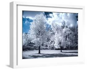 Infrared Landscape with White Trees and Water-Nelson Charette-Framed Photographic Print