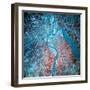 Infrared Photograph of the Confluence of the Missouri and Kansas Rivers, USA, July 1993-null-Framed Photographic Print