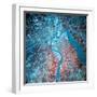 Infrared Photograph of the Confluence of the Missouri and Kansas Rivers, USA, July 1993-null-Framed Photographic Print