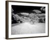 Infrared Photograph Of The Natchez Trace Parkway, Mississippi-Carol Highsmith-Framed Art Print