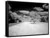 Infrared Photograph Of The Natchez Trace Parkway, Mississippi-Carol Highsmith-Framed Stretched Canvas